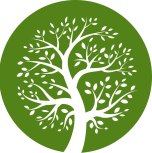 tree-4-153x153x1x0x152x153x1720104672 (1) One Tree Planted partnership supporting environmental projects
